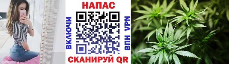 закладка  MEGA ССЫЛКА  Каннабис гибрид  Петушки 